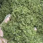 ماتشا احتفاليه فاخره بسعر الجمله