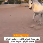 مهر بداية عساف اوراقه جاهزة خط جمال