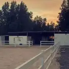 ايواء خيل شهري بوايك بمراوح