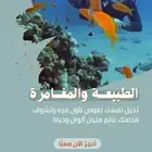 تجارب غوص ودورات غوص