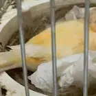 كناري