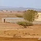 إيجار مزرعه