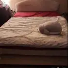 سرير كبير