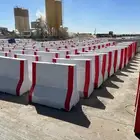 الرياض
