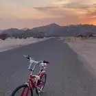 سيكل كوبرا جديد