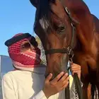 احصان ورق فحل رعد الشمال. له انتج.