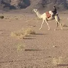 رحول وضحا مزيونه