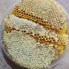 عسل السدر مع القرض