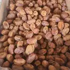 اخلاص الغاط الكميه محدوده
