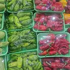 نور د خظار وفواكة للمطاعم والفنادق والحساب اخر اليل