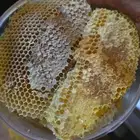 بلاد العوامر