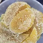 عسل سدر صافي