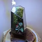 فازة تيراريوم نباتات طبيعية