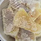 عسل سدر بلاد العوامر