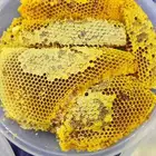 عسل اصلي ومضمون