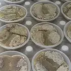 عسل طلح