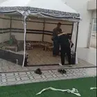 خيمه للبيع استخدام شهر وحد