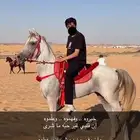 خيل