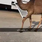 مفروده