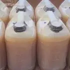 عسل سدر ملكي فاخر