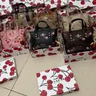 شنط كوتش كرز ماستر والاكثر طلبا