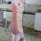 ذبيحتك لحد باب بيتك