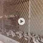 حمام فرنسي ابيض منتج للبيع