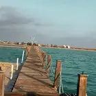 قارب الرايس للرحلات البحريه .. النزهه ..السباحه..الصيد