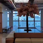 بيع نادي