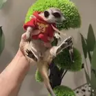 ميركات ملقب تيمون