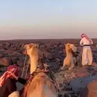 طبع هجن