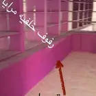 رفوف خشب خلفيه مرايا طول 10 متر ارتفاع مترين ونص