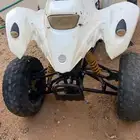 دباب لي البيع