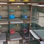 للبيع محاكر حمام حديد