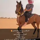 خيل