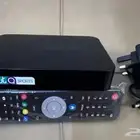 الشرقية