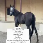 مهر شعبي