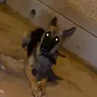 مكافاه ماليه للي يعطي معلومات عنه