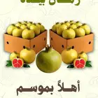رمان الباحه (بيده) الفاخر