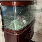 حوض سمك قزاز كبير