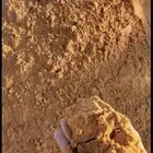 تريلات قلابات تبوك اقل الاسعار
