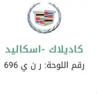 لوحة مميزة للبيع ( ر ن ي 696 )