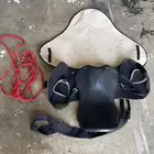 سرج خيل