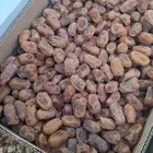 خلاص الخرج