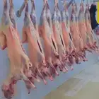 يوجد توصيل الي حد البيت والمطابخ