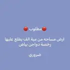 القصيم حايل