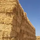 تبن الدفع عند الاستلام