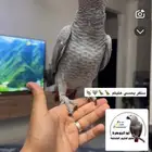 فرخ كاسكو هدد و متكلم تم البيع