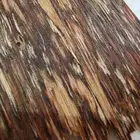 عرض الذوق الخاص