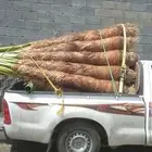 وشنطتي زينه للبيع ابها الخميس